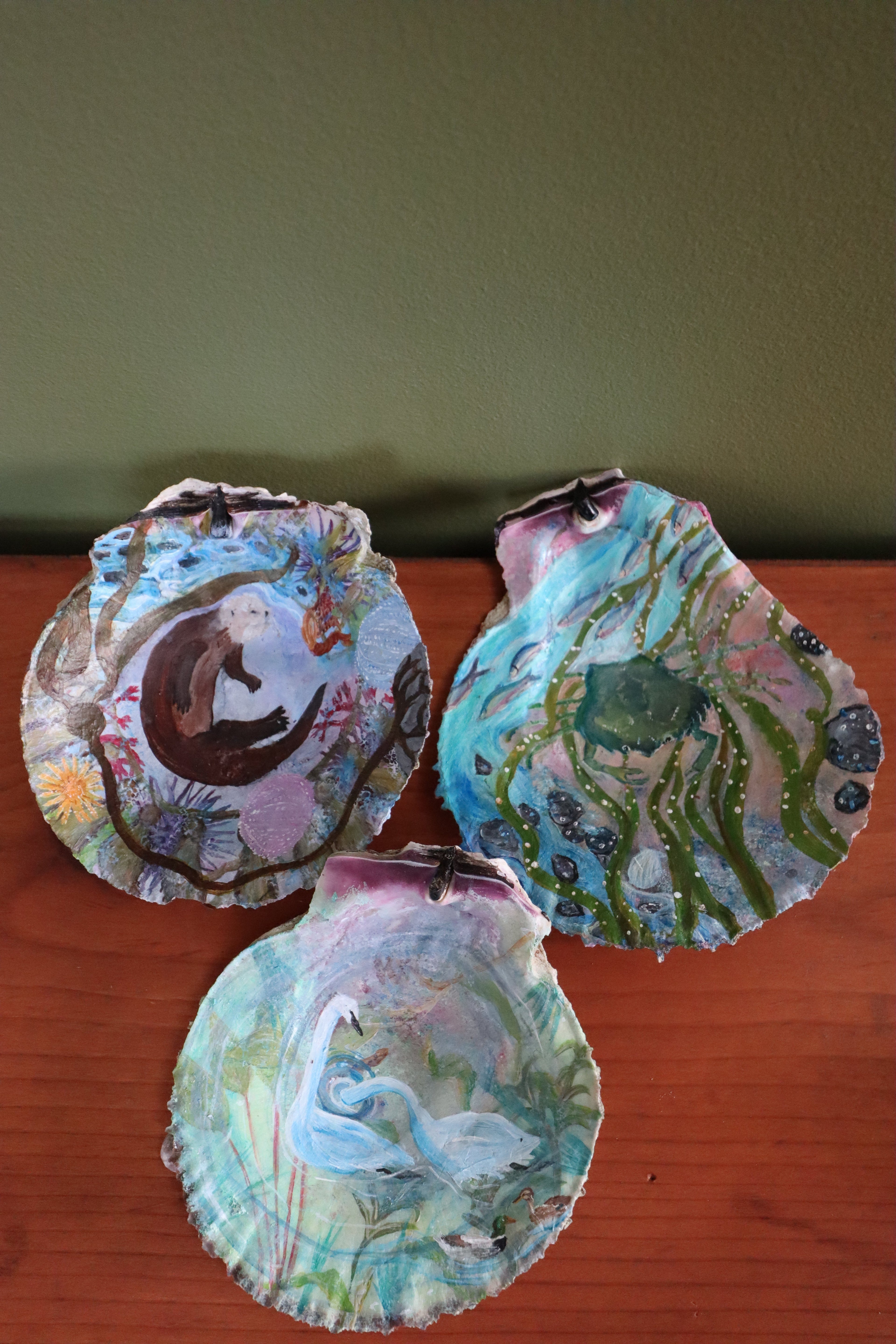 The Shell Collection