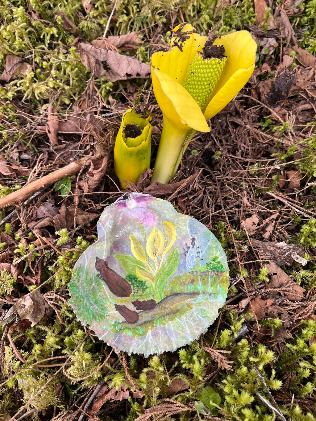 Cabbage Flower Power