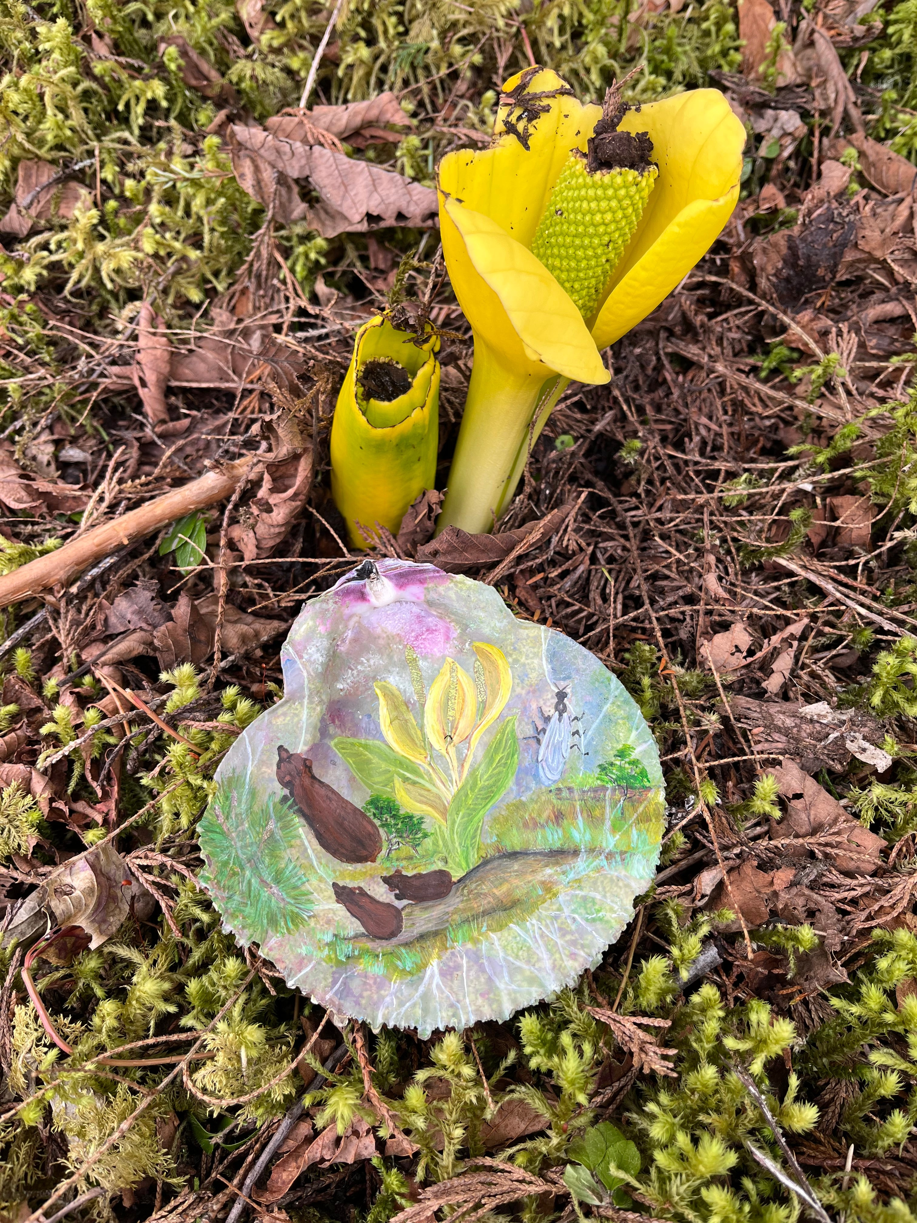 Cabbage Flower Power