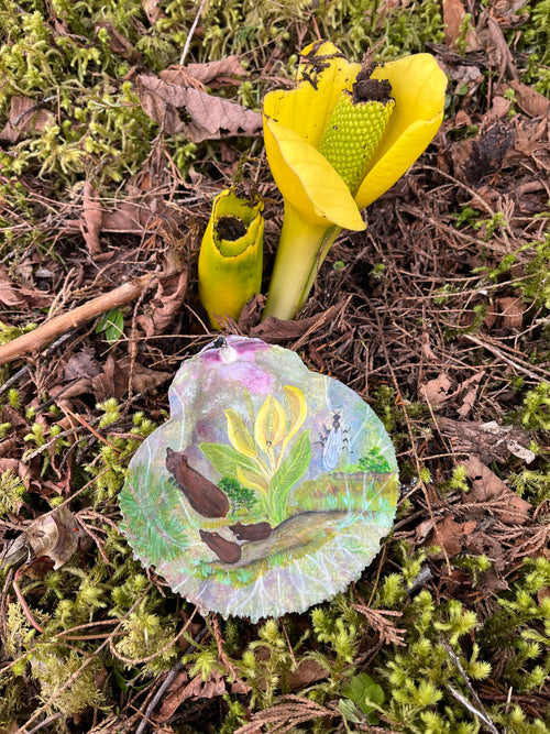 Cabbage Flower Power