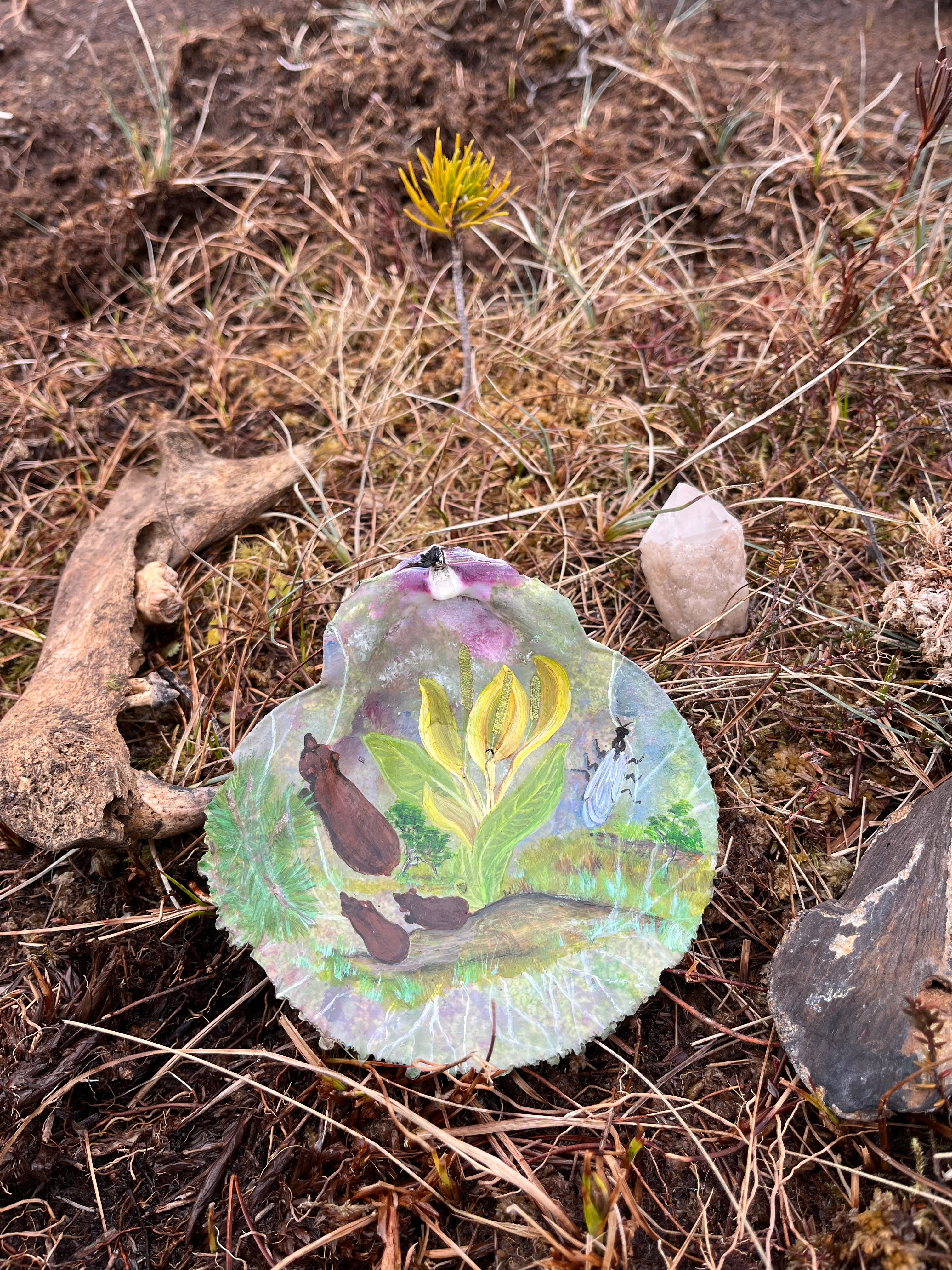 Cabbage Flower Power