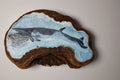 Minke Minnie Baleen